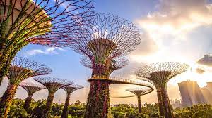 Gardens by the bay supertrees.