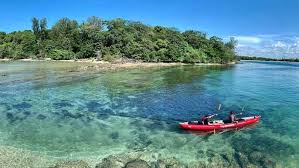 Kayaking among mangroves on Pulau Ubin island.