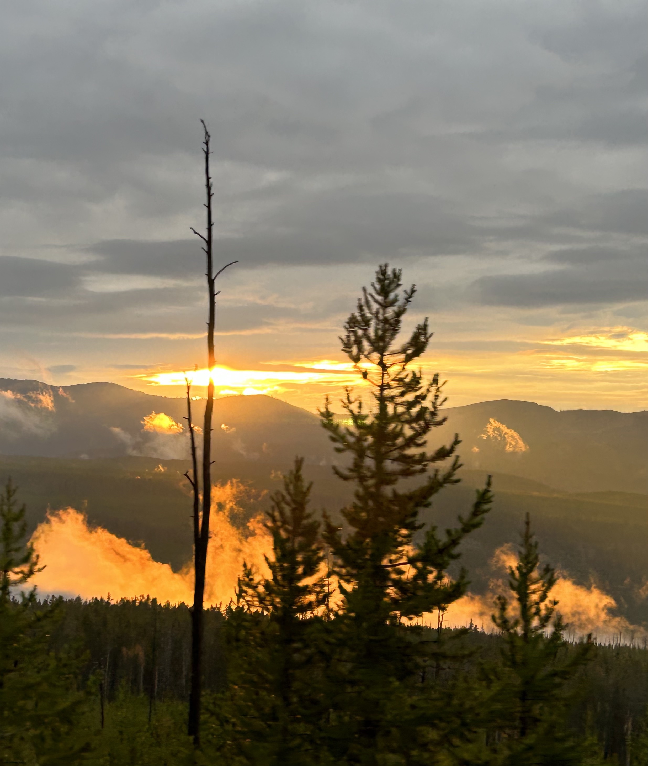 Sunset over mountains with some charred trees in the foreground.